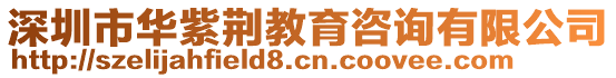 深圳市華紫荊教育咨詢有限公司