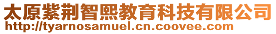 太原紫荊智熙教育科技有限公司