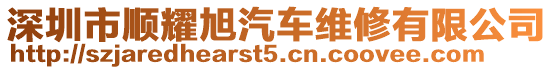 深圳市順耀旭汽車維修有限公司