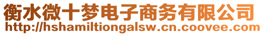 衡水微十夢(mèng)電子商務(wù)有限公司