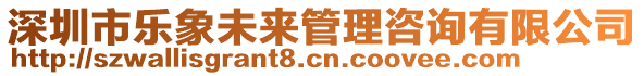 深圳市樂象未來管理咨詢有限公司