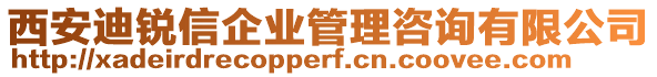 西安迪銳信企業(yè)管理咨詢有限公司