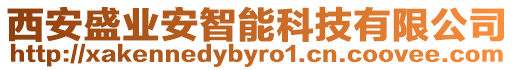 西安盛業(yè)安智能科技有限公司