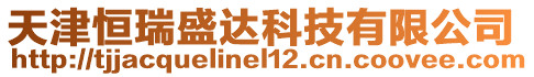 天津恒瑞盛達科技有限公司