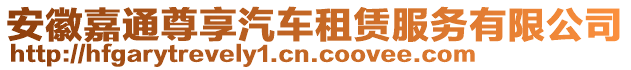 安徽嘉通尊享汽車租賃服務(wù)有限公司