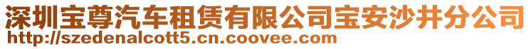 深圳寶尊汽車租賃有限公司寶安沙井分公司