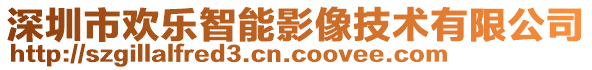 深圳市歡樂智能影像技術有限公司