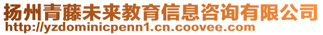 扬州青藤未来教育信息咨询有限公司