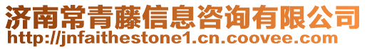 濟(jì)南常青藤信息咨詢有限公司