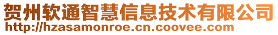 贺州软通智慧信息技术有限公司