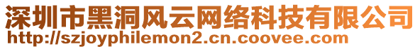 深圳市黑洞風(fēng)云網(wǎng)絡(luò)科技有限公司