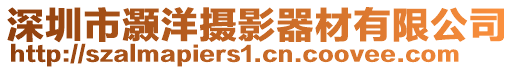 深圳市灝洋攝影器材有限公司