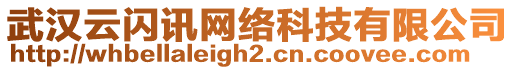 武漢云閃訊網(wǎng)絡(luò)科技有限公司