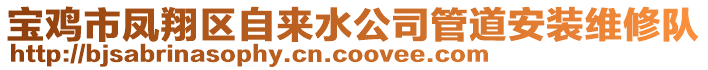 寶雞市鳳翔區(qū)自來水公司管道安裝維修隊(duì)