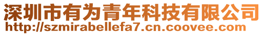 深圳市有為青年科技有限公司