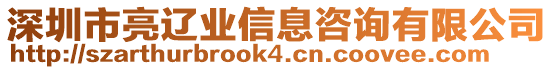 深圳市亮遼業(yè)信息咨詢(xún)有限公司