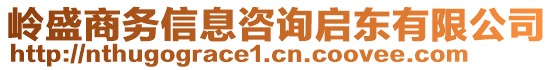 嶺盛商務(wù)信息咨詢啟東有限公司