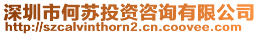 深圳市何蘇投資咨詢有限公司