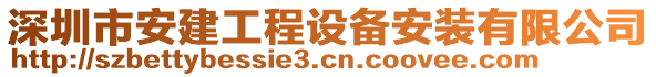 深圳市安建工程設(shè)備安裝有限公司