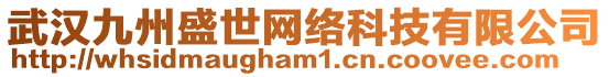 武漢九州盛世網(wǎng)絡(luò)科技有限公司