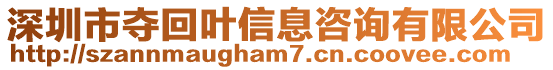 深圳市夺回叶信息咨询有限公司