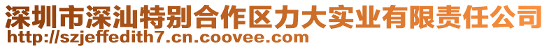 深圳市深汕特別合作區(qū)力大實(shí)業(yè)有限責(zé)任公司