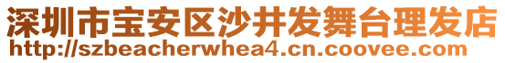 深圳市寶安區(qū)沙井發(fā)舞臺(tái)理發(fā)店