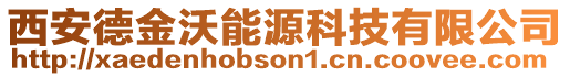 西安德金沃能源科技有限公司