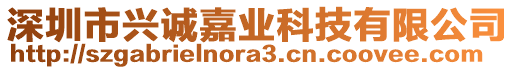 深圳市兴诚嘉业科技有限公司