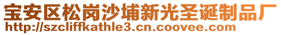 寶安區(qū)松崗沙埔新光圣誕制品廠