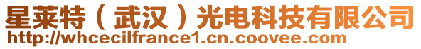 星萊特（武漢）光電科技有限公司