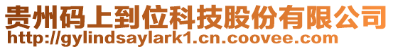 貴州碼上到位科技股份有限公司