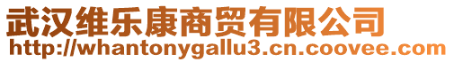 武漢維樂康商貿有限公司