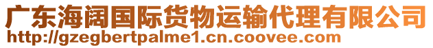 廣東海闊國際貨物運輸代理有限公司