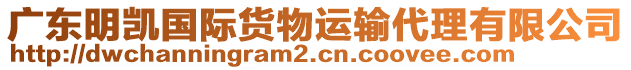 廣東明凱國(guó)際貨物運(yùn)輸代理有限公司