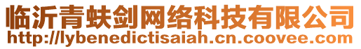 臨沂青蚨劍網(wǎng)絡(luò)科技有限公司