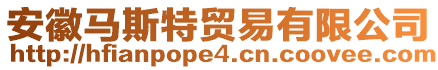 安徽馬斯特貿(mào)易有限公司