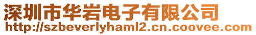 深圳市華巖電子有限公司