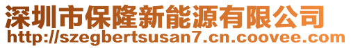 深圳市保隆新能源有限公司