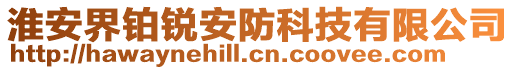 淮安界鉑銳安防科技有限公司