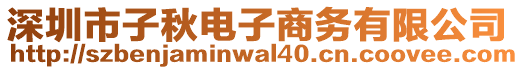 深圳市子秋電子商務(wù)有限公司