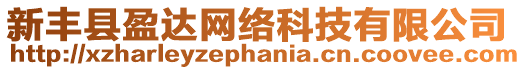 新豐縣盈達(dá)網(wǎng)絡(luò)科技有限公司