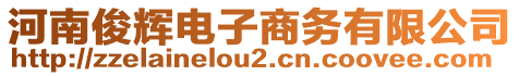 河南俊輝電子商務(wù)有限公司