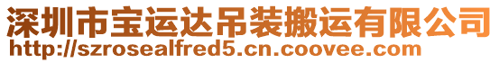 深圳市寶運(yùn)達(dá)吊裝搬運(yùn)有限公司