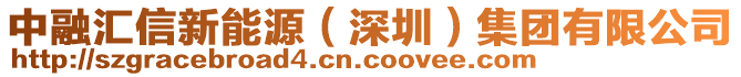 中融匯信新能源（深圳）集團(tuán)有限公司