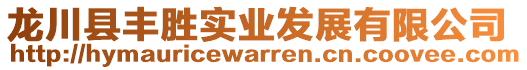 龍川縣豐勝實業(yè)發(fā)展有限公司