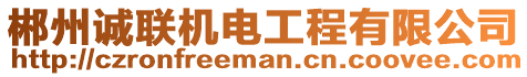 郴州誠(chéng)聯(lián)機(jī)電工程有限公司