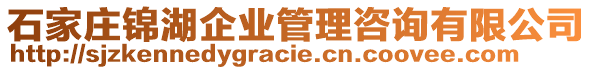 石家莊錦湖企業(yè)管理咨詢有限公司