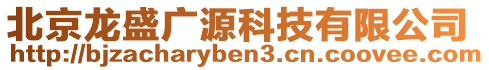 北京龍盛廣源科技有限公司