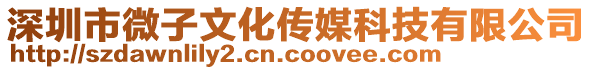 深圳市微子文化傳媒科技有限公司